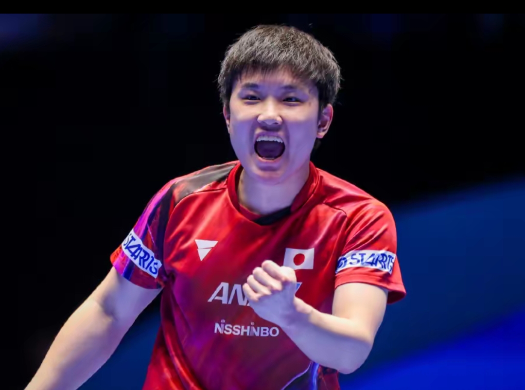 深入地感受 深入地感受